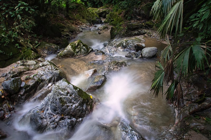 The Lost City, Colombia